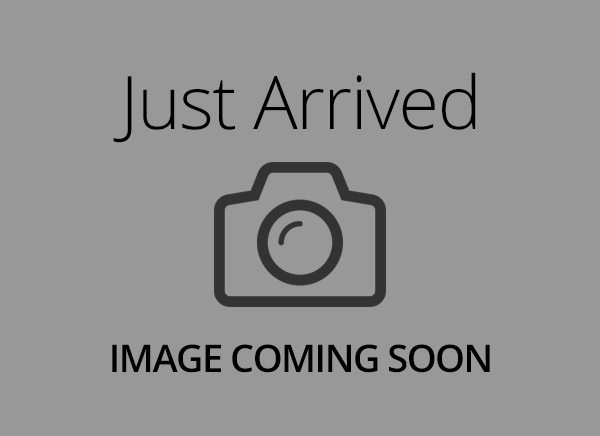 Siberian Husky – 14910