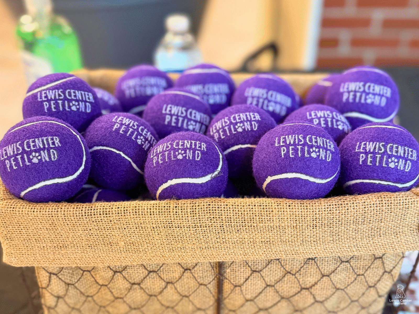 Petland Lewis Center Brings a Little Extra Joy to the ABC6 Senior Health Expo