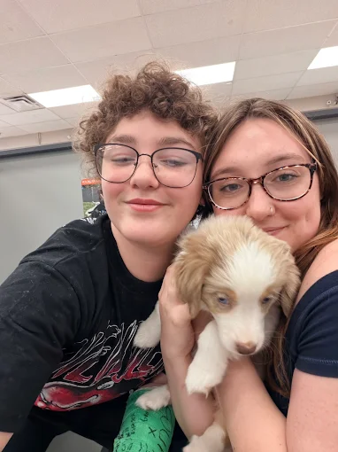 Two people holding a brown and white puppy