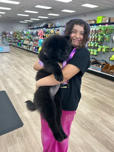 A woman holding a black and tan puppy inside a pet store